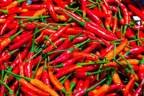 Chili Pepper