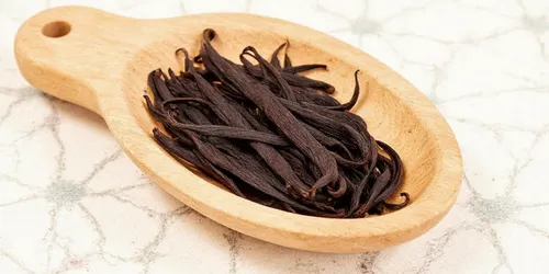 Vanilla Spice